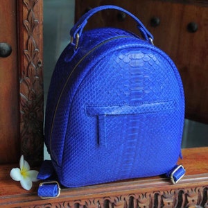 Könnte beinhalten: Ein kleiner, leuchtend blauer Rucksack aus Schlangenleder. Der Rucksack hat einen Reißverschluss und eine kleine Tasche auf der Vorderseite.