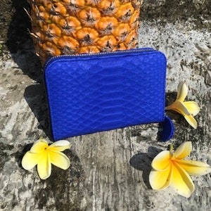 Cartera azul eléctrico de piel de pitón auténtica / Cartera pequeña / Cartera de mujer de piel exótica / Cartera de moda con diseño de serpiente / Cartera de diseño de piel de serpiente