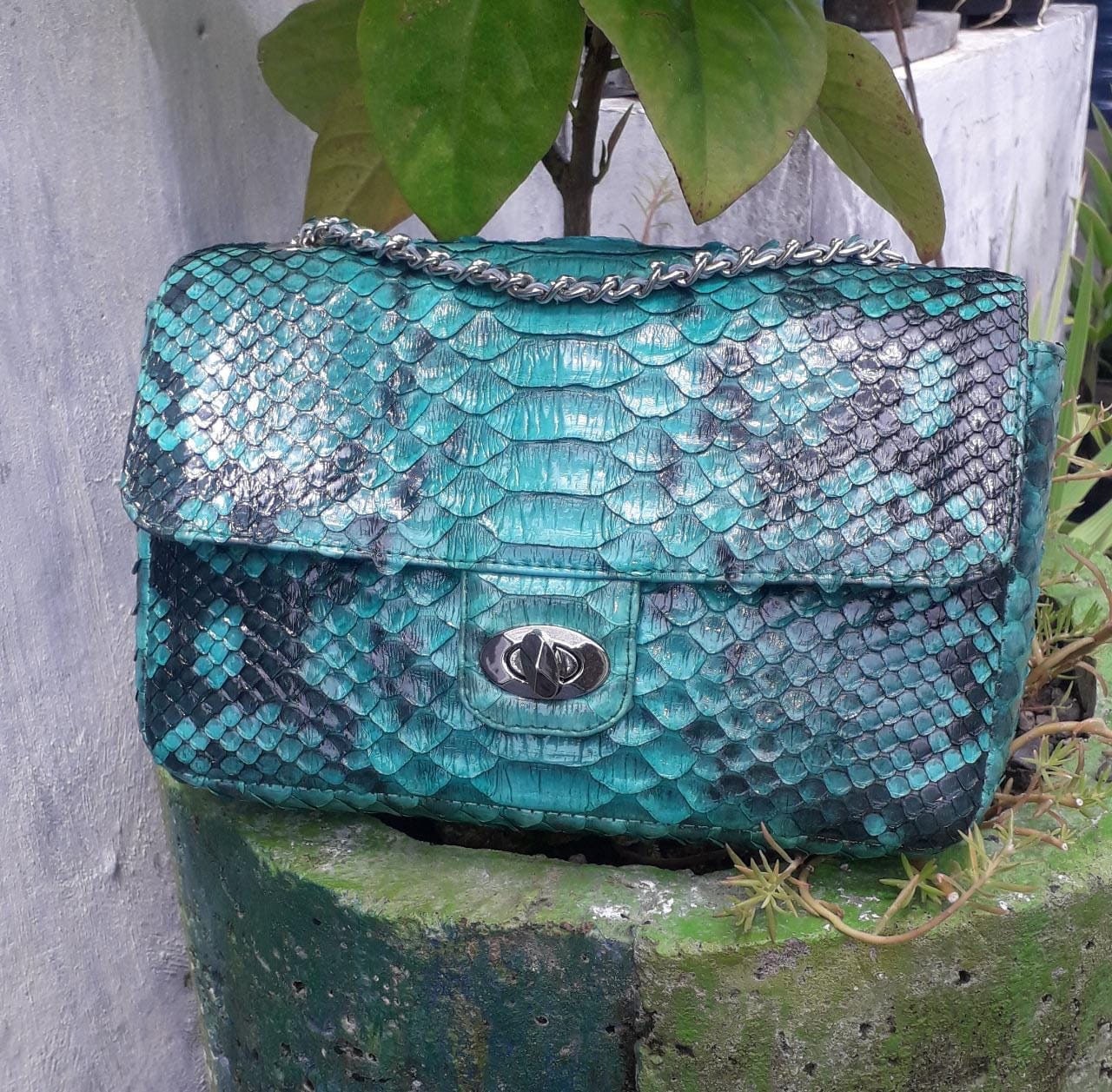 Genuine Python Skin Green Color Shiny Chain Bag | Shoulder Genuine Python Skin Green Color Shiny Chain Bag | Shoulder