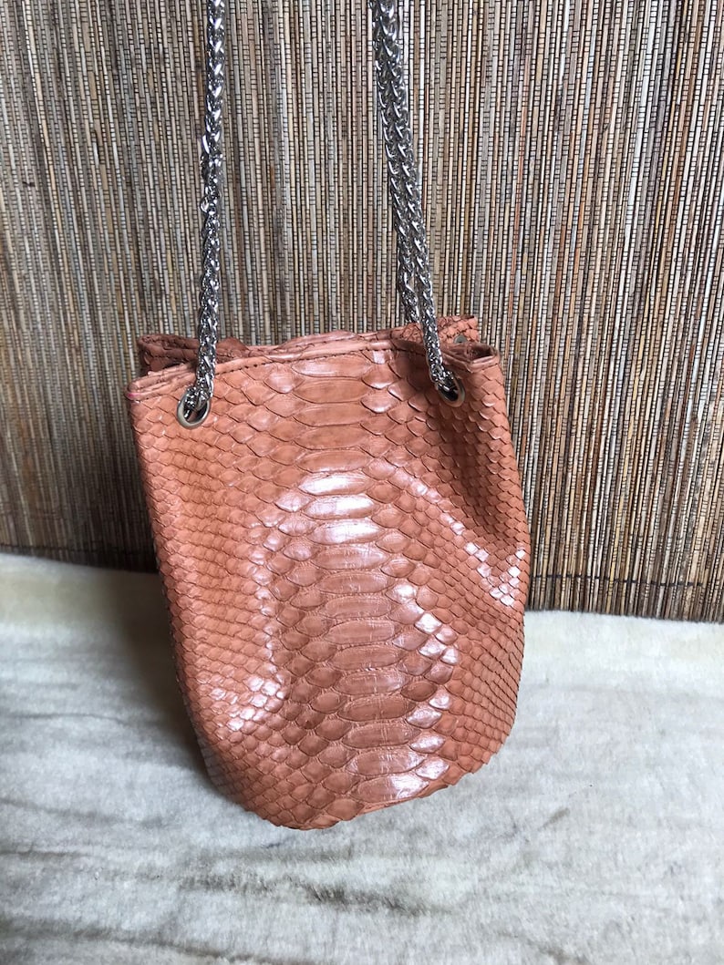 May include: A small, light brown snakeskin bucket bag with a silver chain strap.