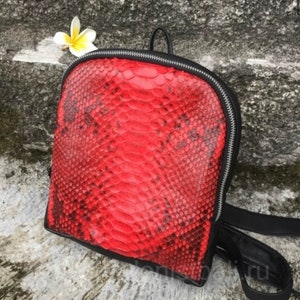 Kleiner Rucksack aus echter Python-Haut | Lederrucksack Schlangenleder rot| kleiner Designer Rucksack | Exotische Ledertaschen | Frauen handgemachte Taschen