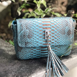 Può includere: Una piccola borsa a tracolla in pelle di serpente blu e marrone con una catena argentata e un pendente a forma di nappa.