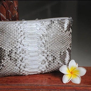 Genuine python skin grey cosmetic bag/ Purse Insert Organizer/ Bag Insert For Tote Bag/ exotic leather wallet / small snake skin clutch