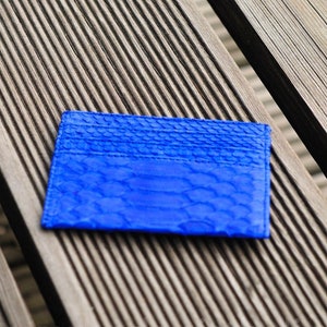 May include: A bright blue leather card holder with a snakeskin pattern.