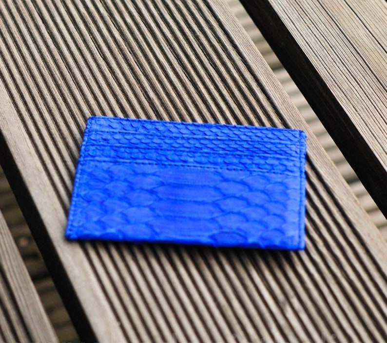 May include: A bright blue leather card holder with a snakeskin pattern.