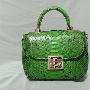 May include: A small green handbag made of snakeskin with a gold clasp and a top handle.