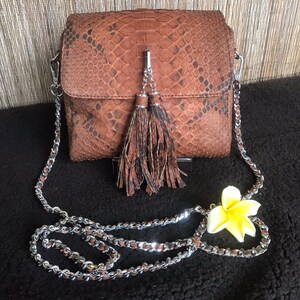 May include: A brown snakeskin crossbody bag with a silver chain strap and a brown tassel. The bag has a flap closure and a small pocket on the front.