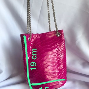 May include: A bright pink snakeskin handbag with a silver chain strap. The bag measures 15 cm wide and 19 cm tall.