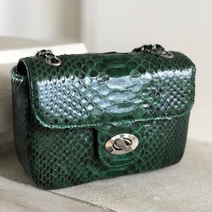 May include: A small green snakeskin handbag with a silver chain strap and a silver clasp.