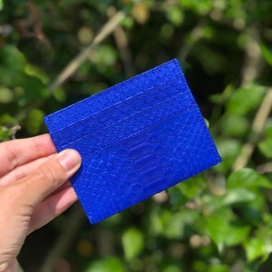 May include: A blue leather card holder with a snakeskin pattern.