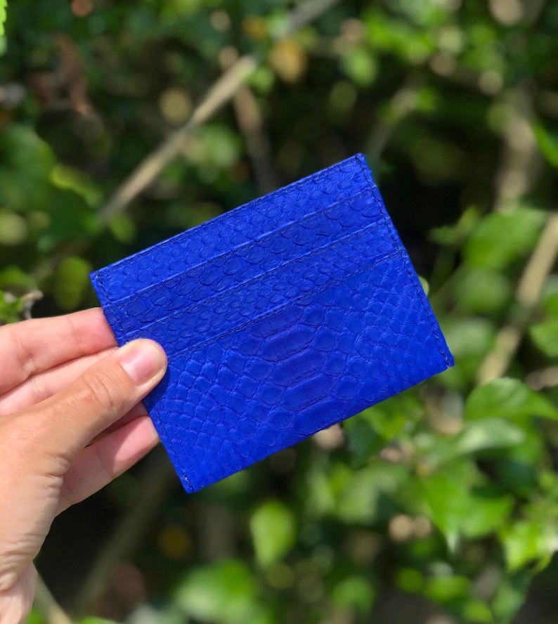 May include: A blue leather card holder with a snakeskin pattern.