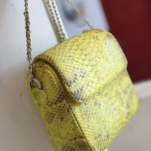 Genuine Python Skin Crossbody Chain Yellow Snake Print Tassel Bag ...