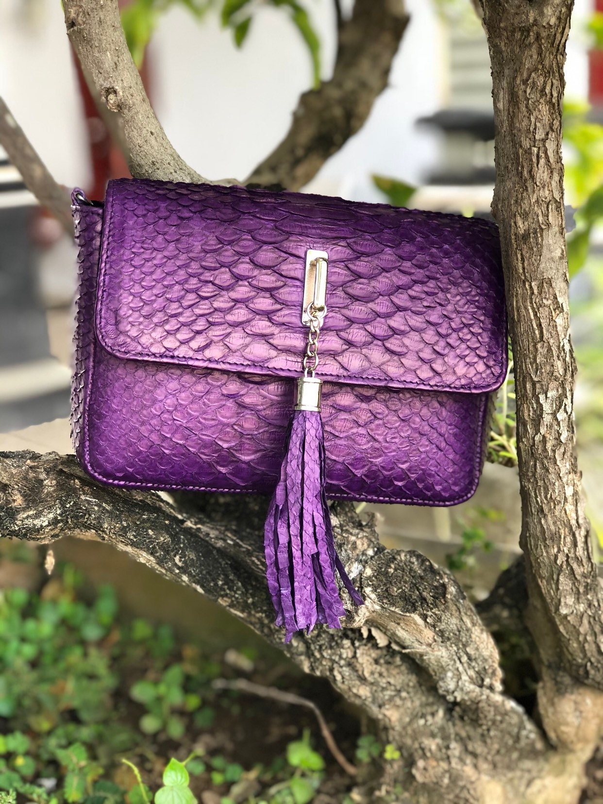 Genuine Python Skin TASSEL Bag Violet Color, Violet Leather Bag, Tassel Bag Crossbody, Small Leather Bag Chain, Elegant Classy Small Bag - Etsy UK Genuine Python Skin TASSEL Bag Violet Color, Violet Leather Bag, Tassel Bag Crossbody, Small Leather Bag Chain, Elegant Classy Small Bag - Etsy UK