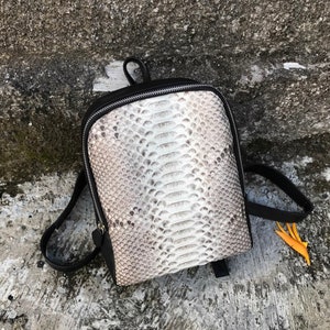 以下が含まれることがあります： 黒いストラップとジッパー留め具が付いた、薄い茶色のヘビ革の小さなバックパックです。