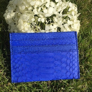 May include: A blue leather card holder with a snakeskin pattern. The card holder has multiple slots for cards.