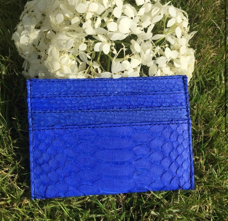 May include: A blue leather card holder with a snakeskin pattern. The card holder has multiple slots for cards.