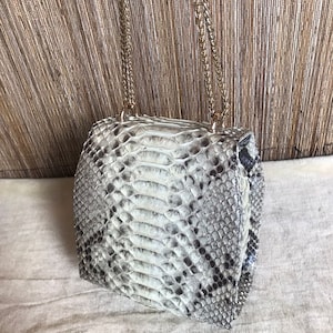 Könnte beinhalten: Eine kleine, hellfarbene Schlangenledertasche mit einer goldenen Kettenkette.