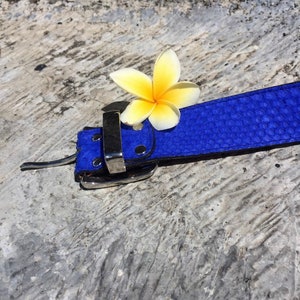 patchwork python belt in shades of blue Images High... Genuine Python Skin Blue Belt | Electric Blue Ultramarine Belt ...
