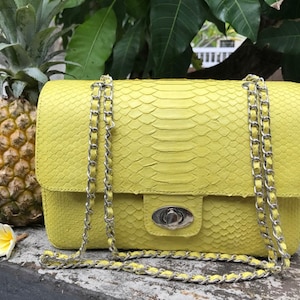 May include: A chartreuse-colored handbag with a silver chain strap. The bag features a textured, snakeskin-like pattern and a silver clasp closure. A pineapple and a flower are in the background.