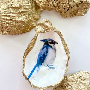 May include: A blue jay painted on the inside of a white oyster shell with a gold rim. The oyster shell is sitting on a white surface.