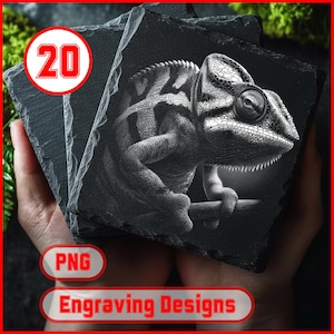 May include: Three square slate coasters, each featuring a detailed grayscale engraving of a chameleon on a branch. The image includes the text "Engraving Designs" and "PNG" in a red and white oval. A red circle with the number "20" is also present.