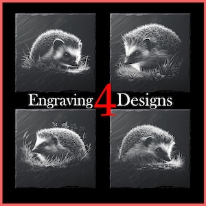 Puede incluir: Cuatro diseños cuadrados de pizarra con grabados detallados de erizos en un entorno herboso. El texto "Engraving 4 Designs" se muestra en blanco. La imagen tiene un fondo negro con un borde rojo.