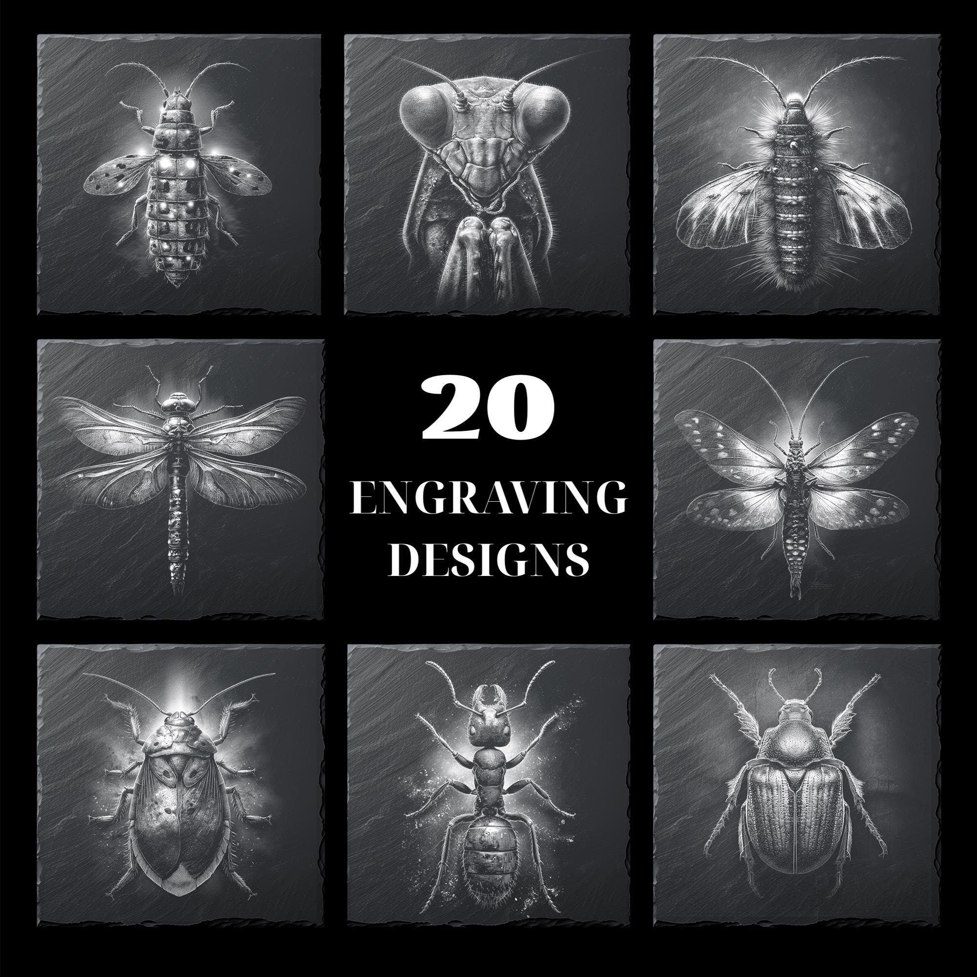 20 Insect PNG Designs for Laser Engraving – Slate Coaster Clipart ...