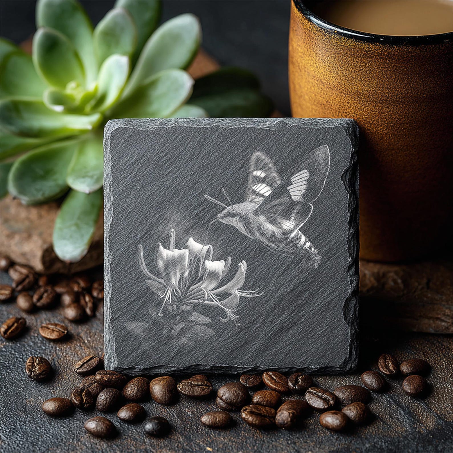 Moth Incarving 10 Intricate Moth Engraving PNG Bundle for Laser Engraving Coasters ...