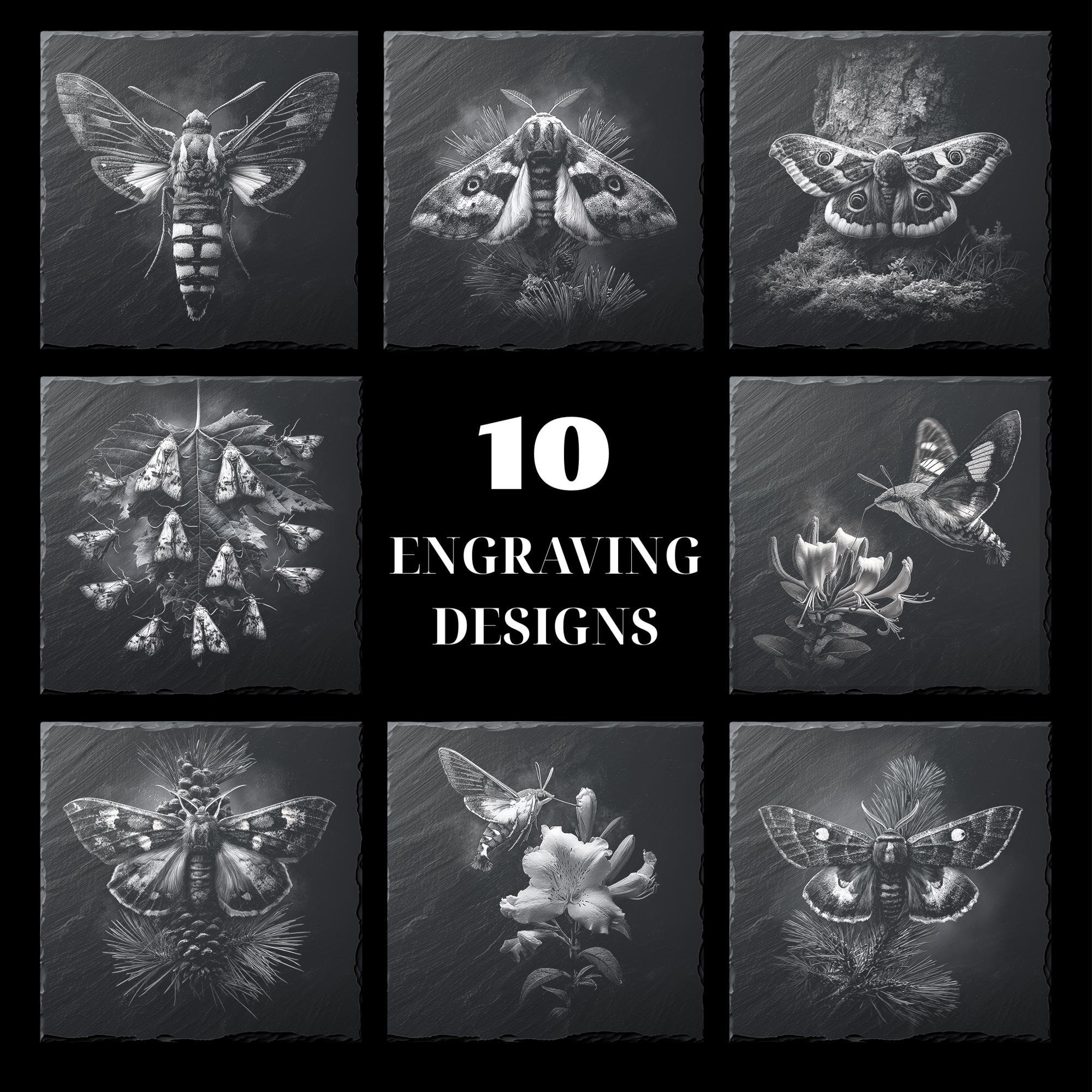 Moth Incarving 10 Intricate Moth Engraving PNG Bundle for Laser Engraving Coasters ...