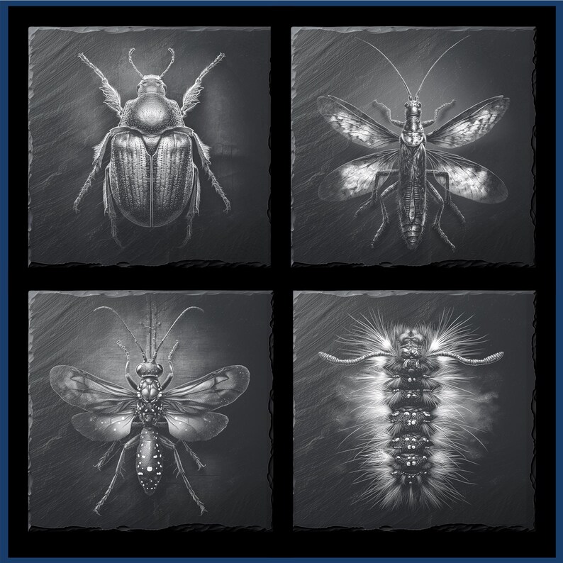 20 Insect PNG Designs for Laser Engraving – Slate Coaster Clipart ...