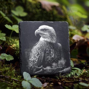 May include: A square, black slate coaster featuring a detailed, grayscale engraving of a bald eagle. The eagle is perched on a branch, with its head turned to the side. The coaster is surrounded by green foliage.