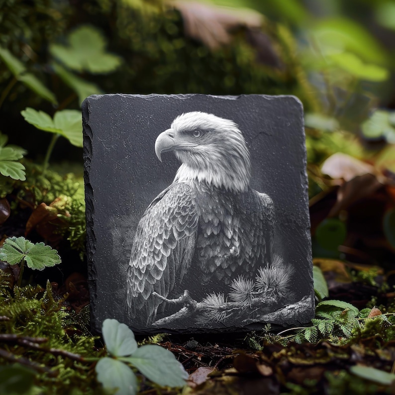 May include: A square, black slate coaster featuring a detailed, grayscale engraving of a bald eagle. The eagle is perched on a branch, with its head turned to the side. The coaster is surrounded by green foliage.