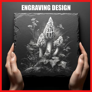 Realistic Morel Mushroom Laser Engraving Design | Optimized PNG for Slate Coasters & Stone