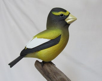Hand Carved Life Size Evening Grosbeak Detailed Carving - Lifelike Hand Painted Carving - Hickory and Cherry Base Base