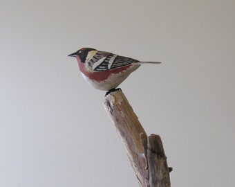 Hand Carved - Bay-Breasted Warbler Carving - Basswood Carving - Hand Painted - Fully Detailed - Turned Cherry Base