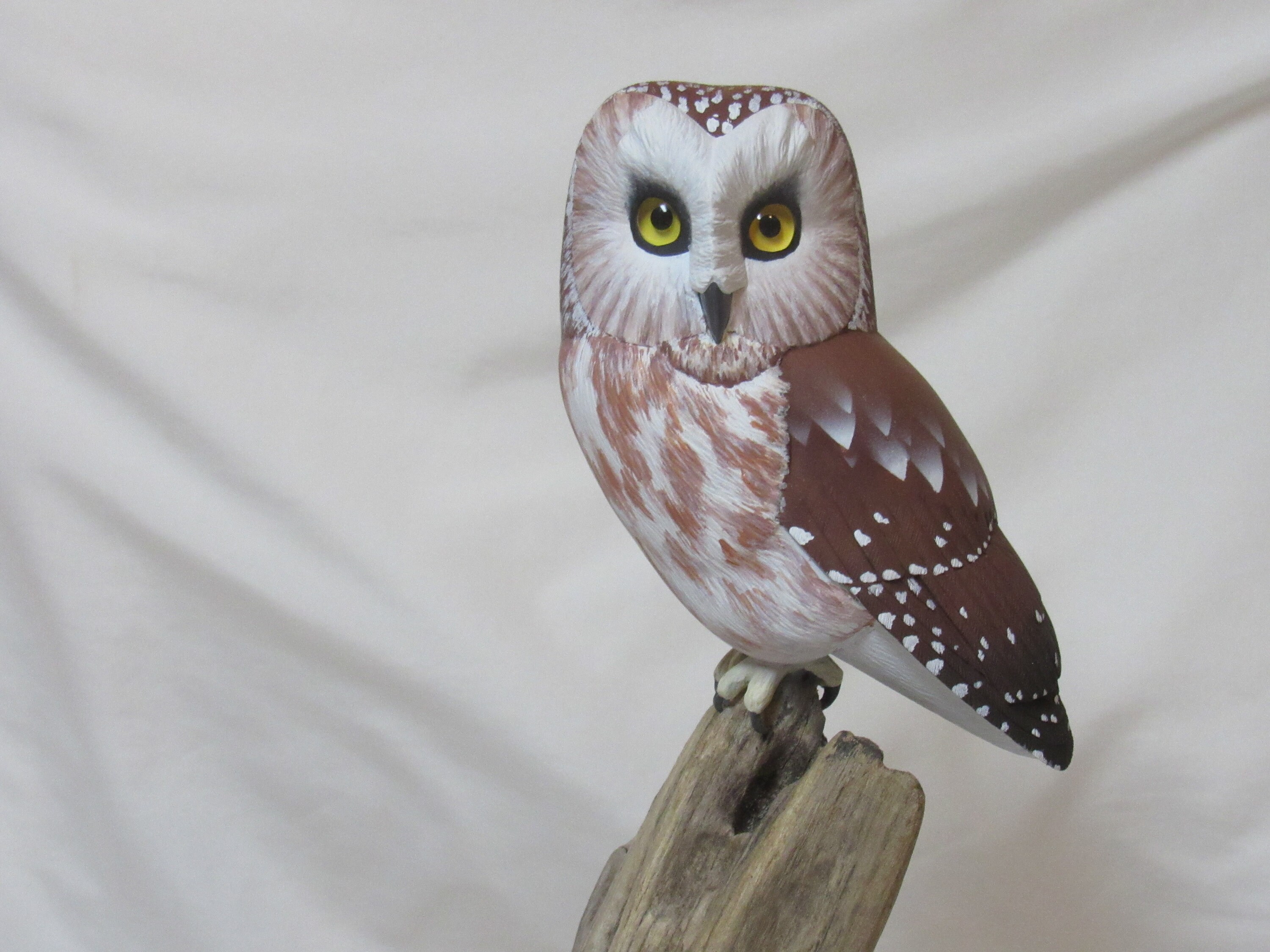 Life Size Sawwhet Owl Wood Carving Detailed Realistic Hand Painted