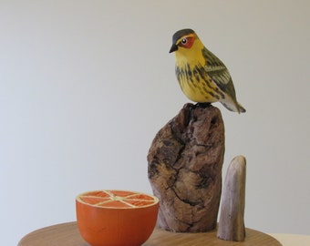 Hand Carved - Cape-May Warbler - Turned Orange Half - Drfitwood Mount - Turned Oak Base - Hand Painted - Realisticly Detailed