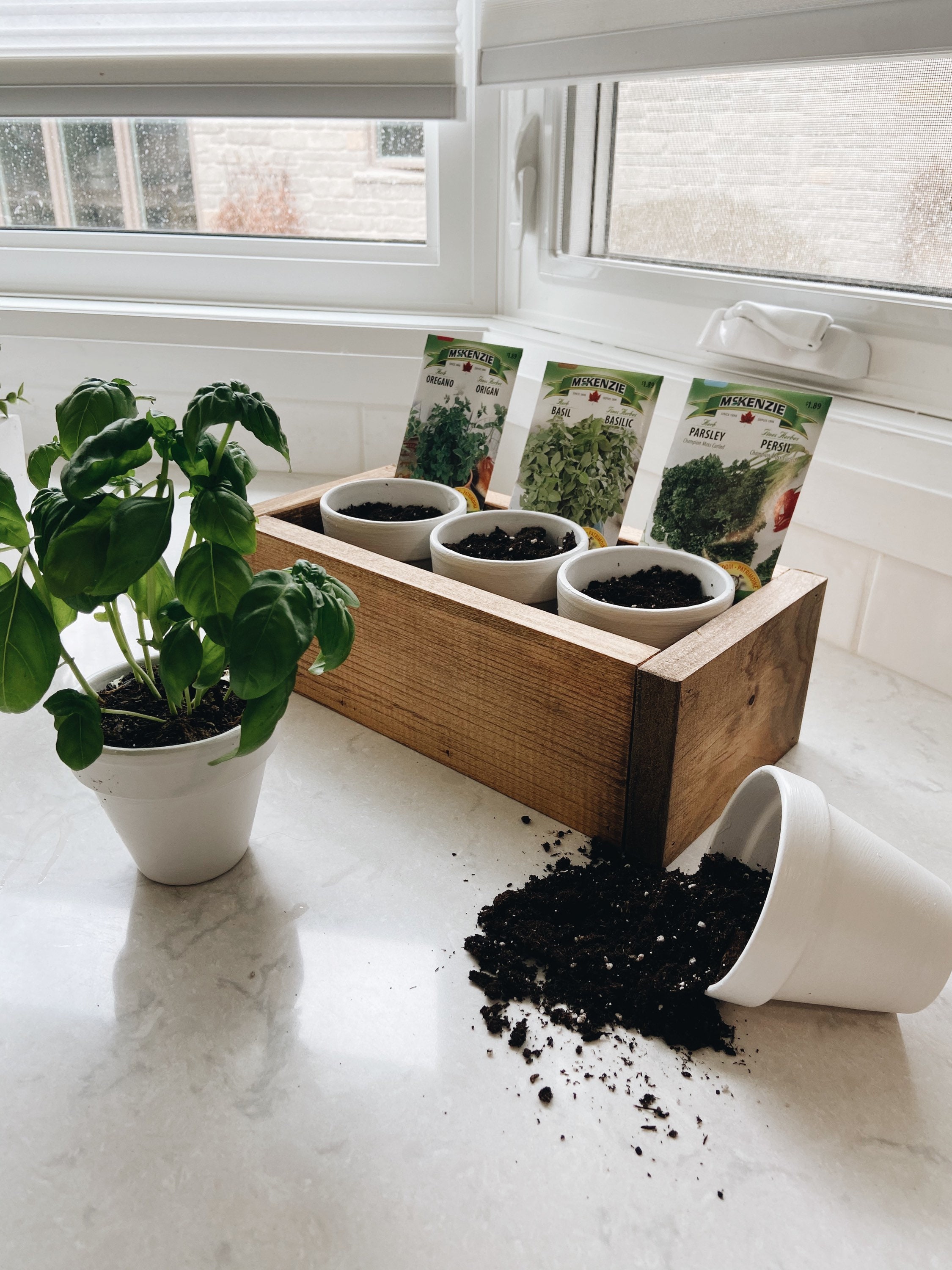 Herb Gardening Starter Kit Herb Kit Planter Pot Basil Etsy