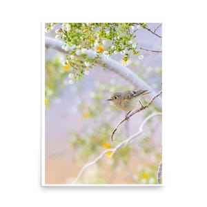 May include: A small bird with gray and tan feathers perches on a thin branch. The background is a soft blur of green, yellow, and white flowers, with a hint of blue and peach. The image is a nature-themed print.