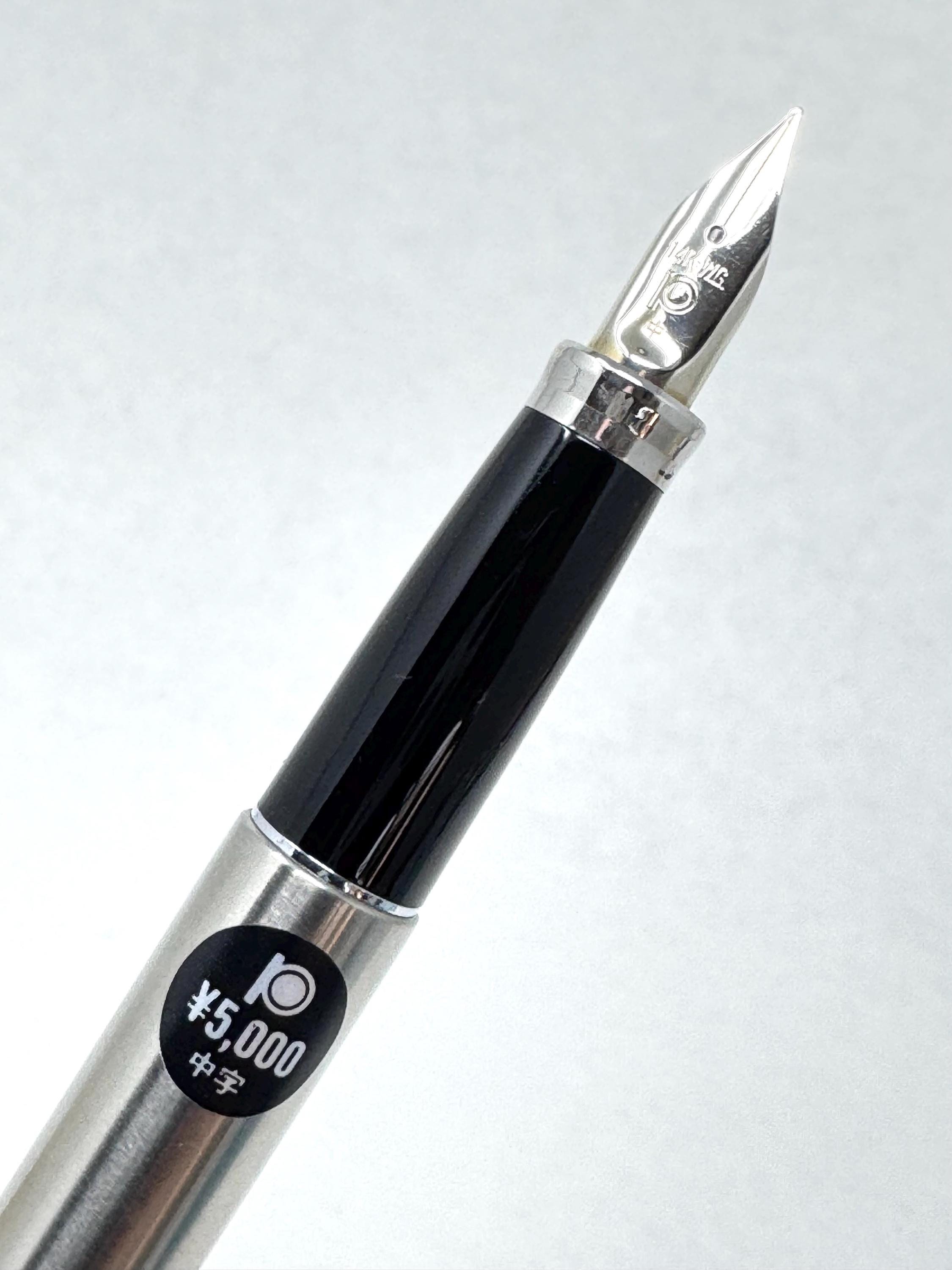 Platinum Belage Stainless Armor PMB-5000 Fountain Pen, Solid 14K