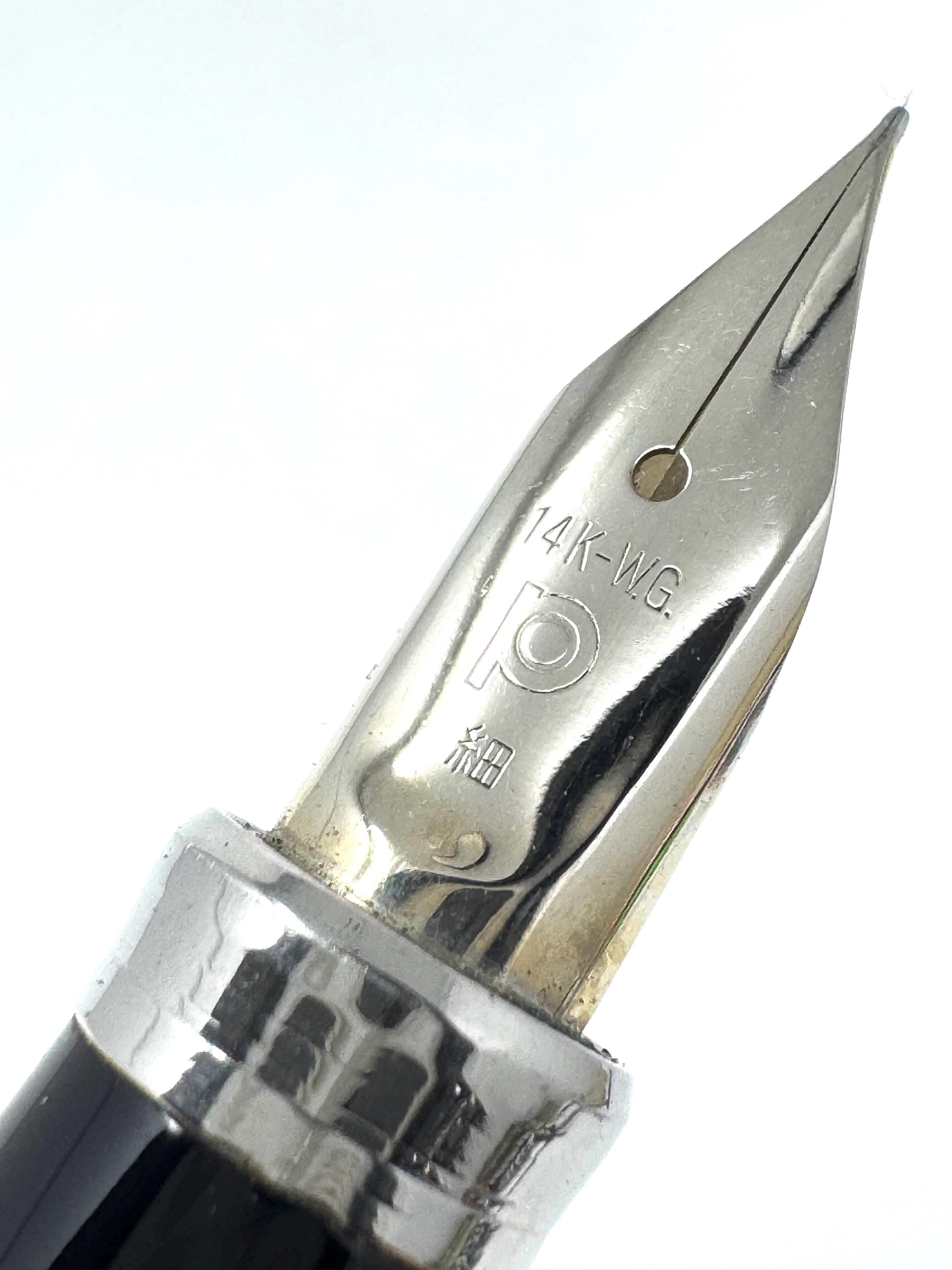 Platinum Belage Stainless Armor PMB-5000 Fountain Pen, Solid 14K