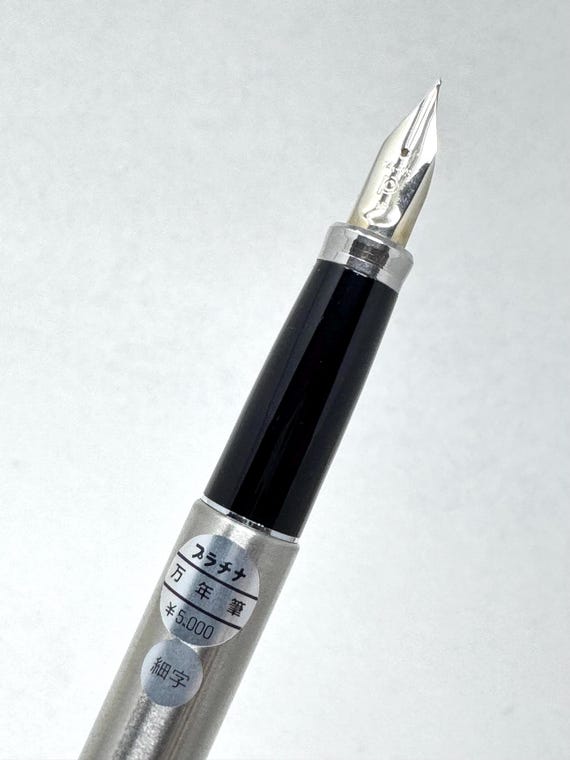 Platinum Belage Stainless Armor PMB-5000 Fountain Pen, Solid 14K