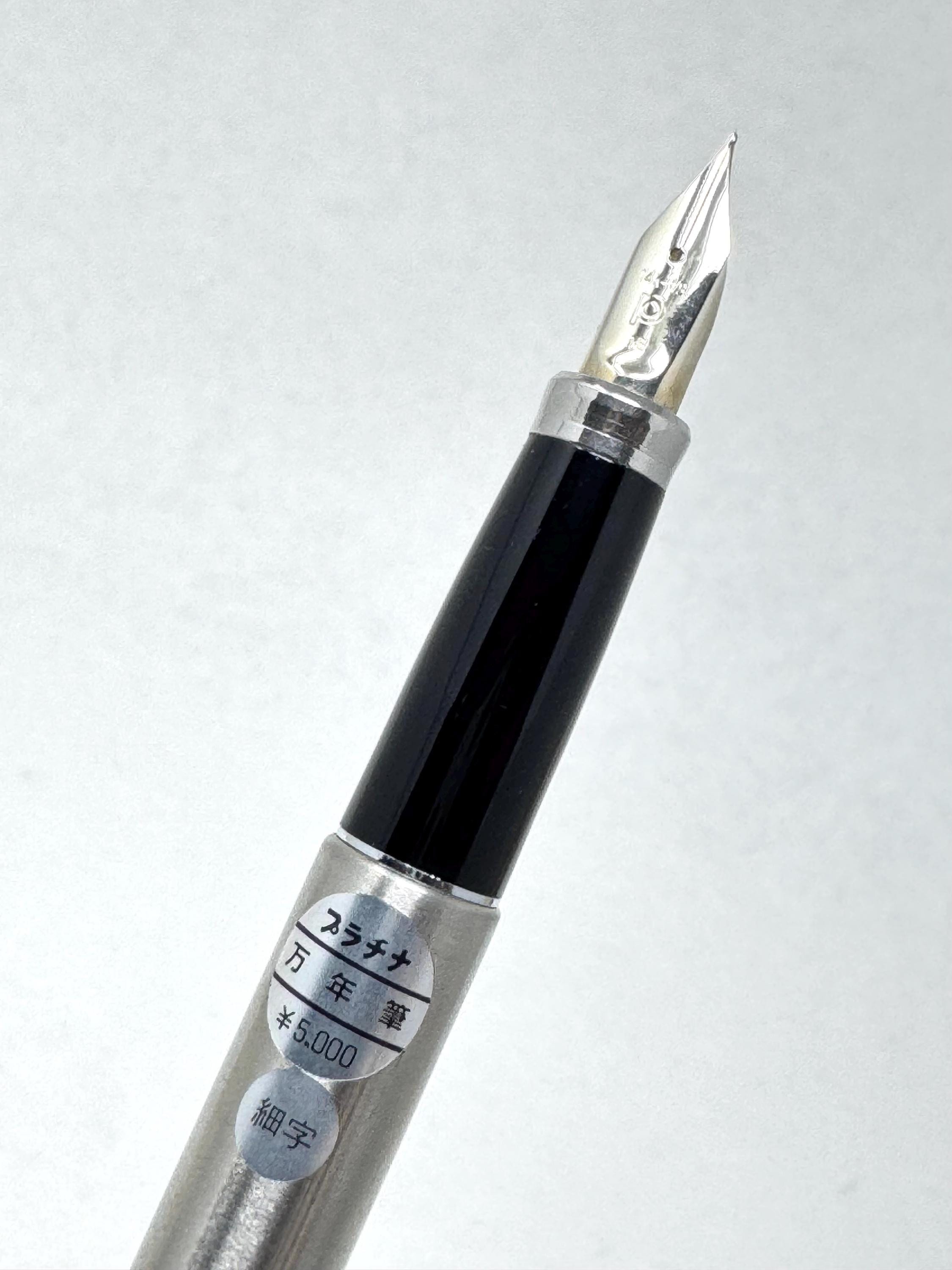 Platinum Belage Stainless Armor PMB-5000 Fountain Pen, Solid 14K