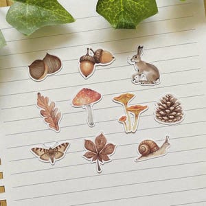Può includere: Una collezione di adesivi ad acquerello con elementi autunnali. Gli adesivi includono ghiande, un coniglio, funghi, una foglia, una falena, una pigna, una lumaca e una foglia. Gli adesivi sono in tonalità marrone, arancione e beige.