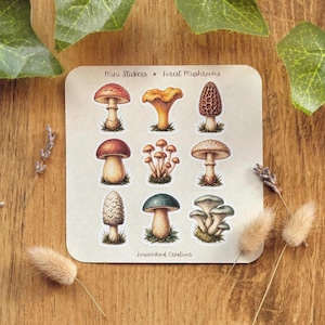 Könnte beinhalten: Ein Aufkleberbogen mit dem Titel Mini Stickers Forest Mushrooms, der neun einzelne Illustrationen verschiedener Pilze in Erdtönen wie Rot, Orange, Braun und Grün zeigt, mit dem Markennamen Lousenkind Creations am unteren Rand.
