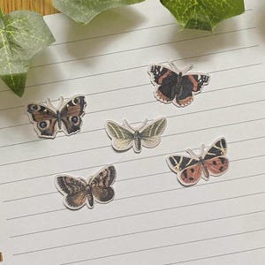 Könnte beinhalten: Fünf Schmetterlingsaufkleber mit detaillierten Flügelmustern in Braun-, Orange-, Schwarz- und Grüntönen sind auf liniertes Papier angeordnet. Die Aufkleber variieren in Größe und Design und zeigen verschiedene Schmetterlingsarten.