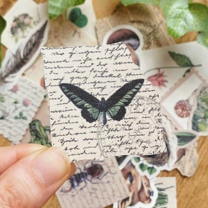 Könnte beinhalten: Ein rechteckiger Papieraufkleber mit einer schwarz-grünen Schmetterlingsillustration, zentriert auf einem Hintergrund aus kursiver Handschrift im Vintage-Stil und schwachen kreisförmigen Poststempeln in Creme-, Beige- und Dunkeltönen.
