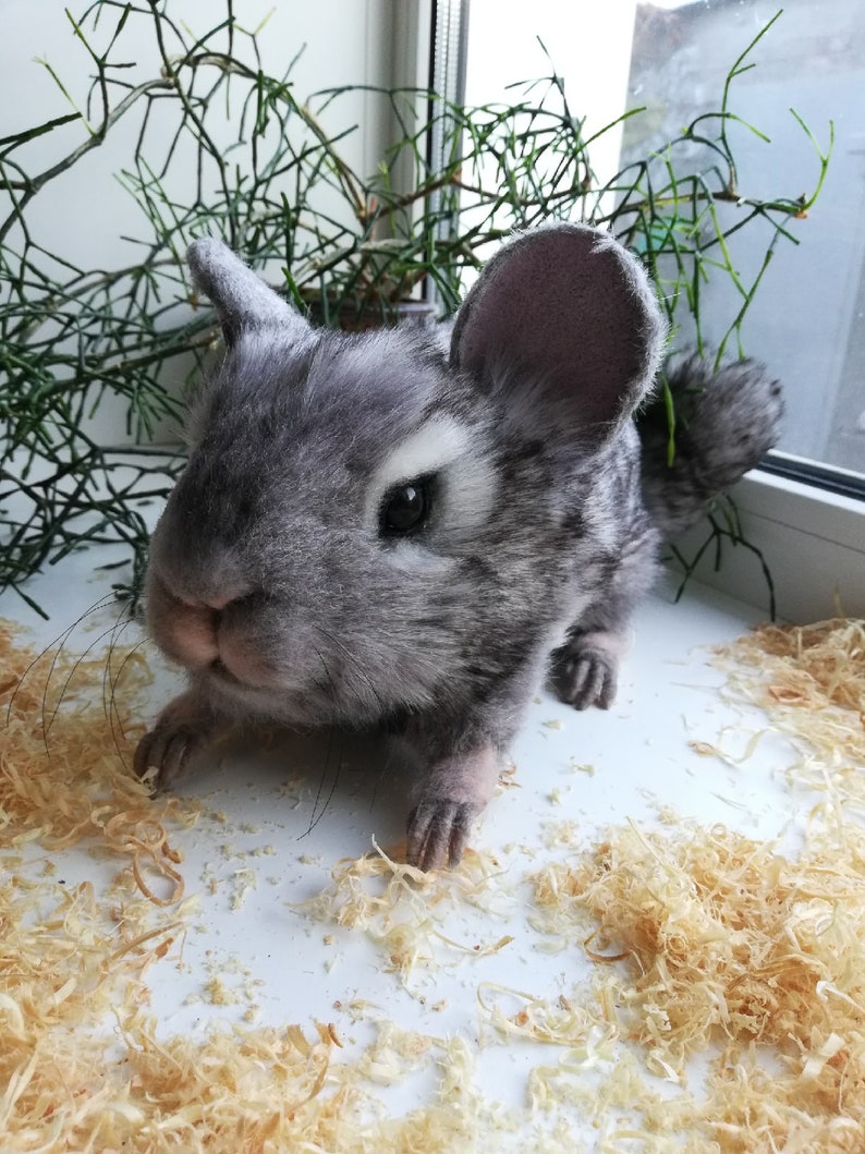 Realistic soft toy Chinchilla. FOR ORDER. Animal soft toy Etsy