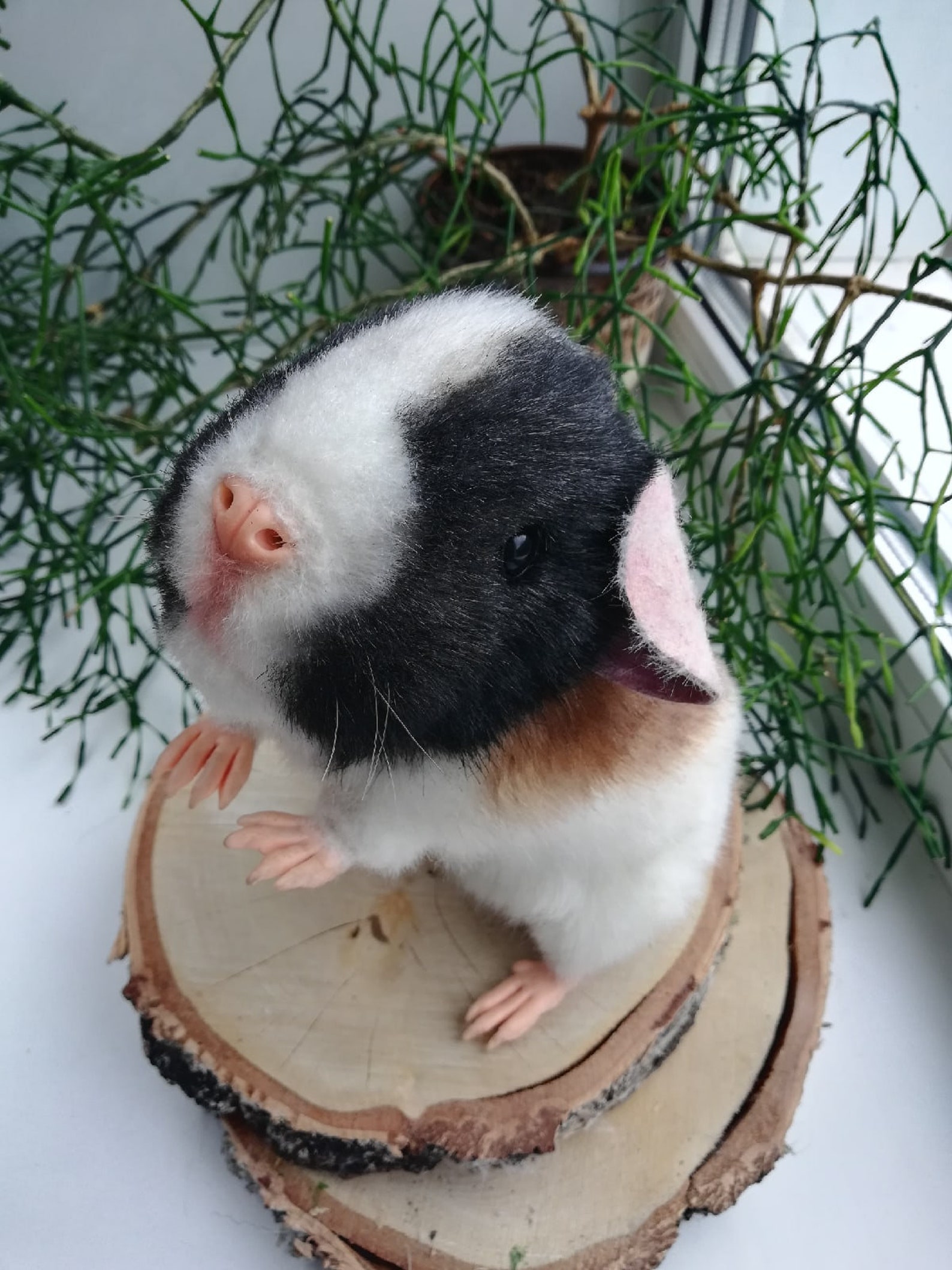 Realistic Soft Toy The Guinea Pig Stuffed Animal Toy Cavy Etsy
