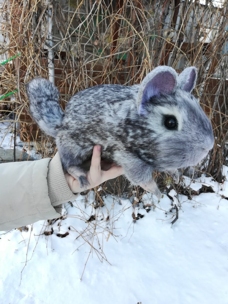 Realistic soft toy Chinchilla. FOR ORDER. Animal soft toy Etsy